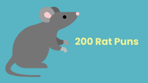 rat puns