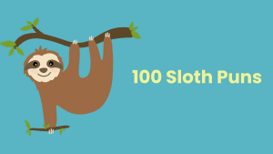 sloth puns