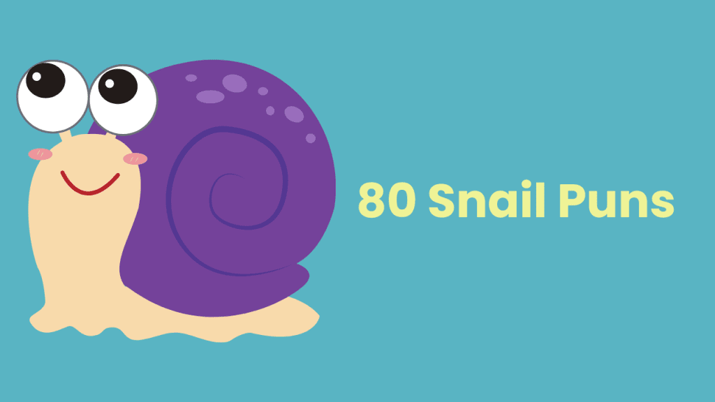 80 snail puns cute funny one liners etc 
