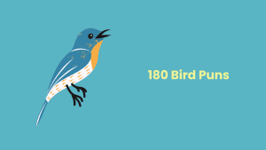 bird jokes and puns