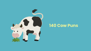 cow jokes and puns