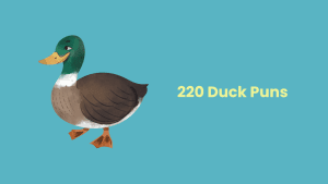 duck jokes and puns