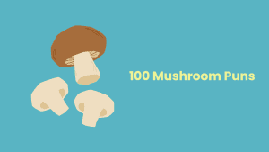 mushroom jokes and puns