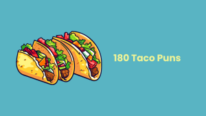 taco jokes and puns