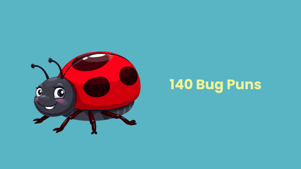 bug jokes and puns