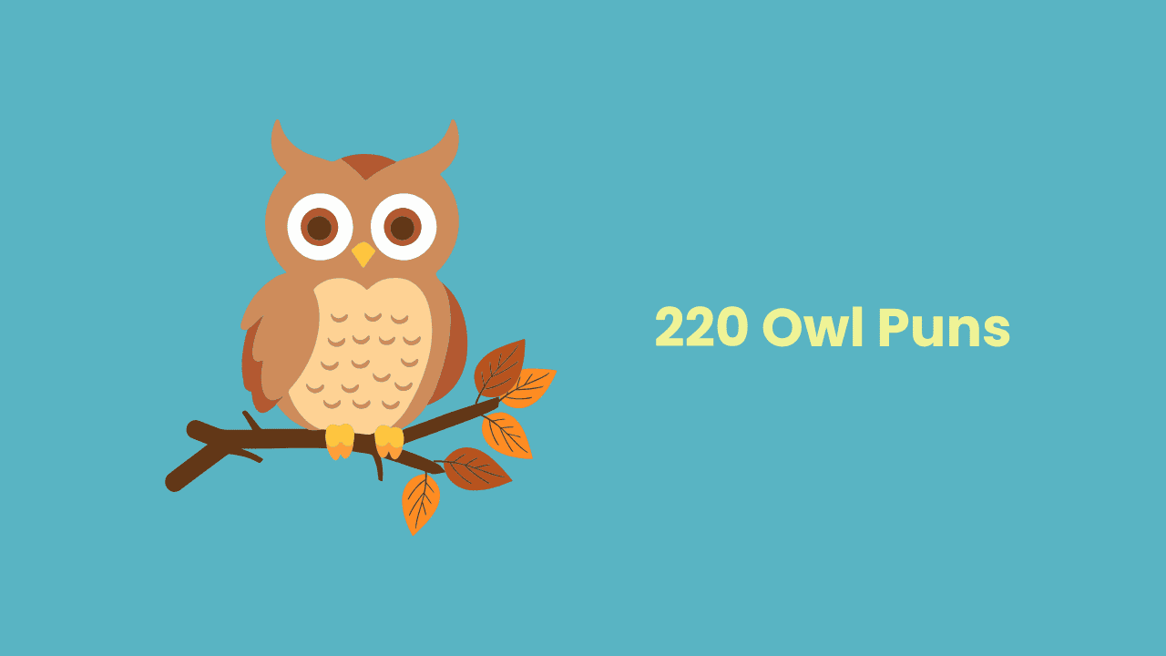 owl jokes and puns