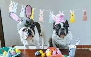 Hoppy Style Laughs: Easter Jokes, Puns, and Stand-Up Fun