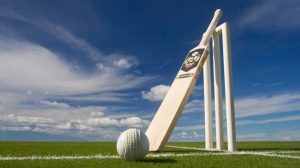 cricket puns
