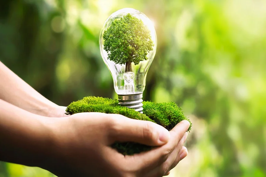 Building Daily Habits for a Greener Lifestyle