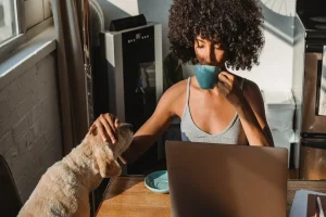 Weird Dog Products