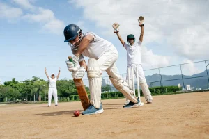 Fantasy Cricket